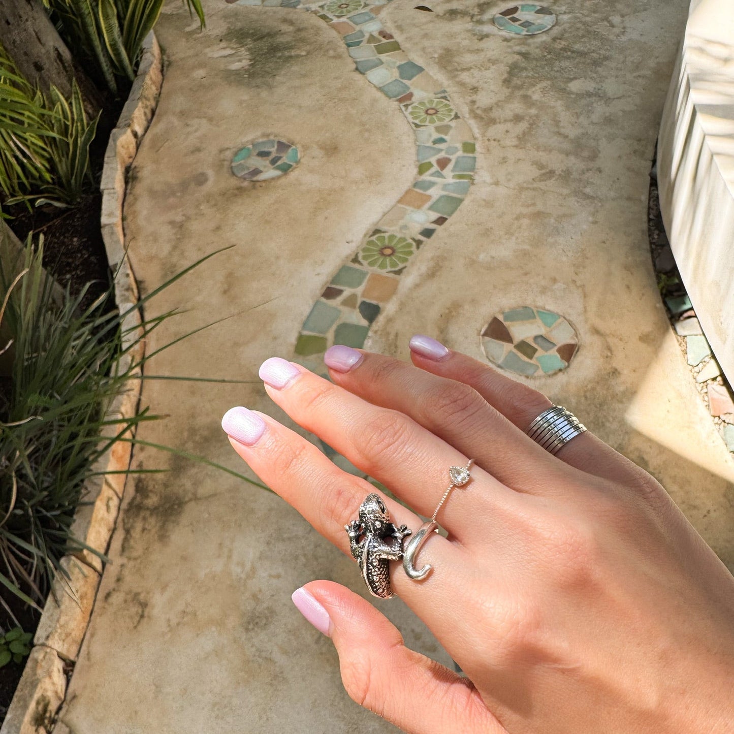 Anillo Tolok (iguana)
