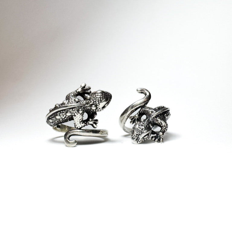 Anillo Tolok (iguana)