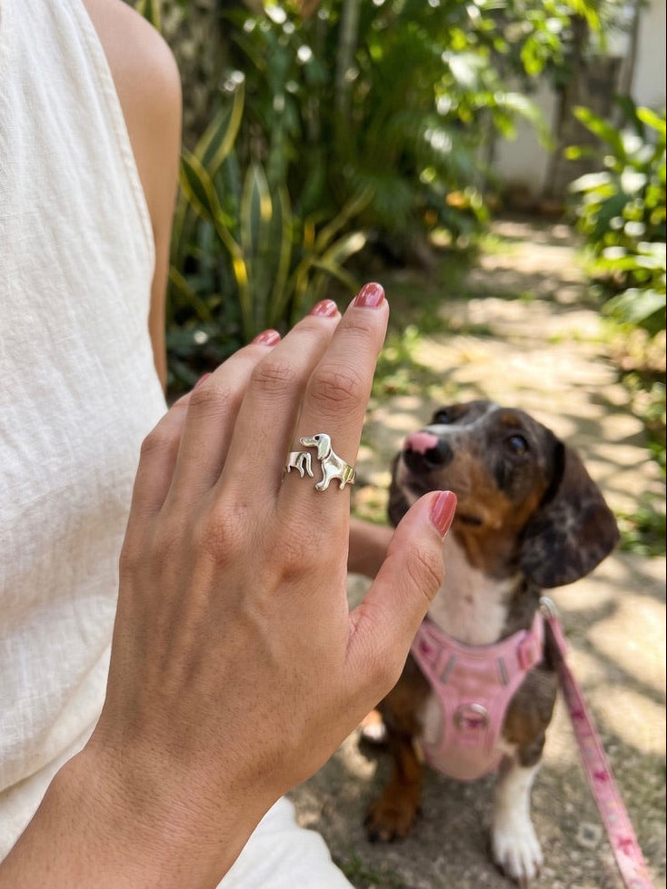 Anillo Dachsund