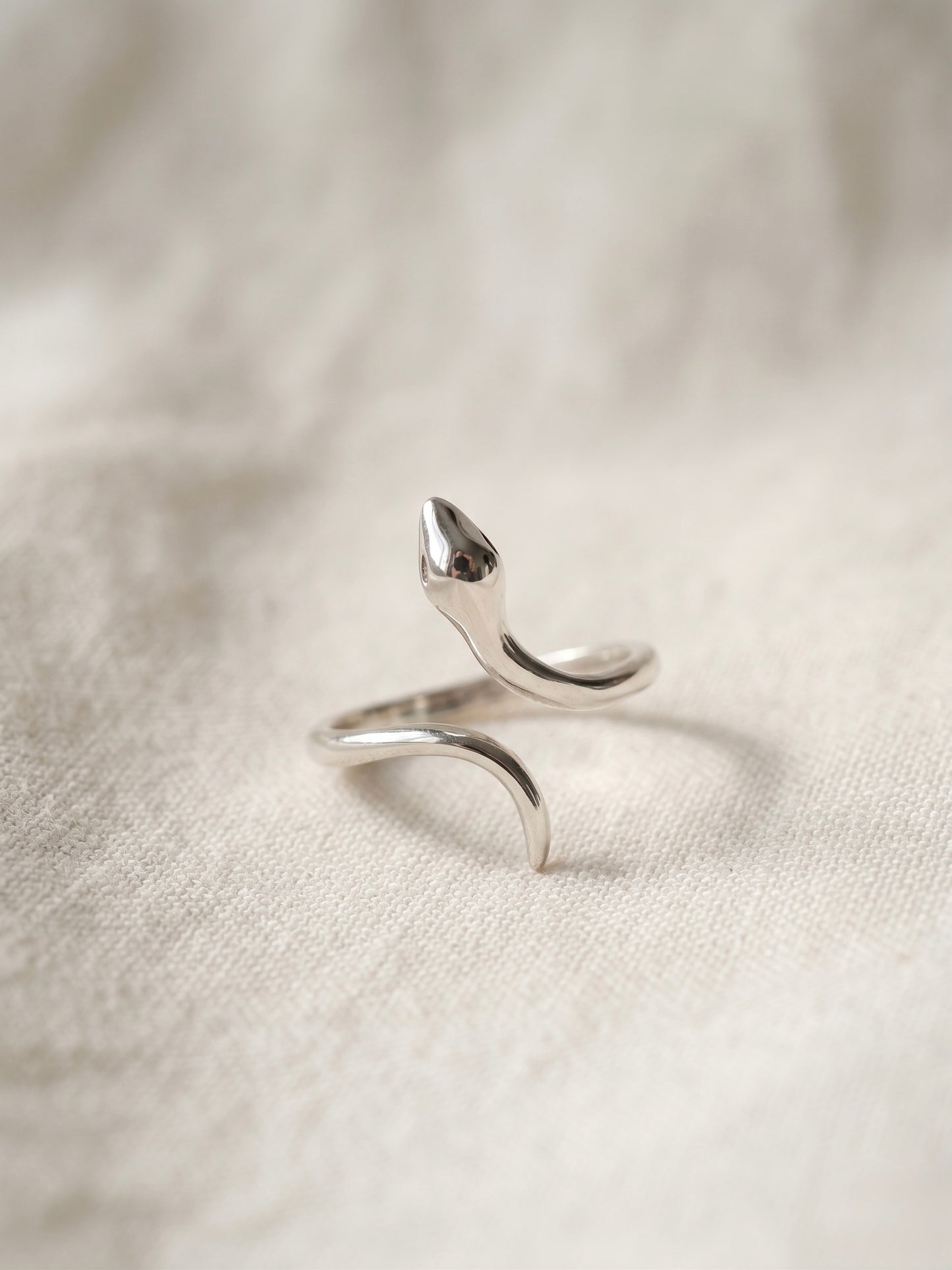 Anillo Serpiente Plata .925